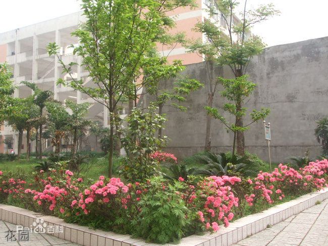 资中县第二中学花园