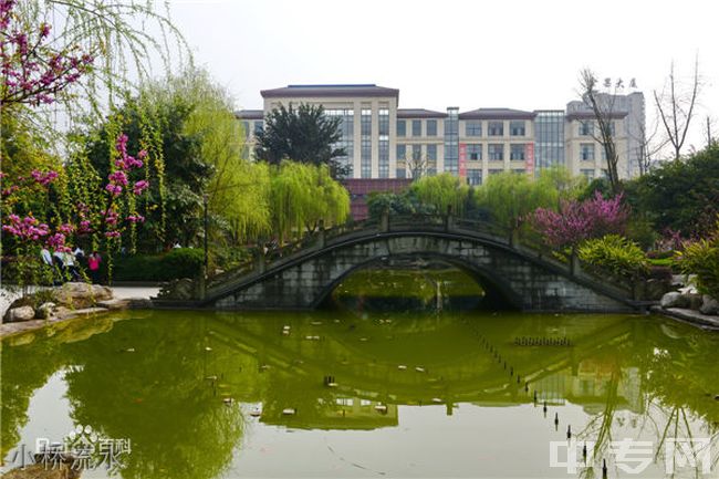 重庆巴川国际高级中学小桥流水