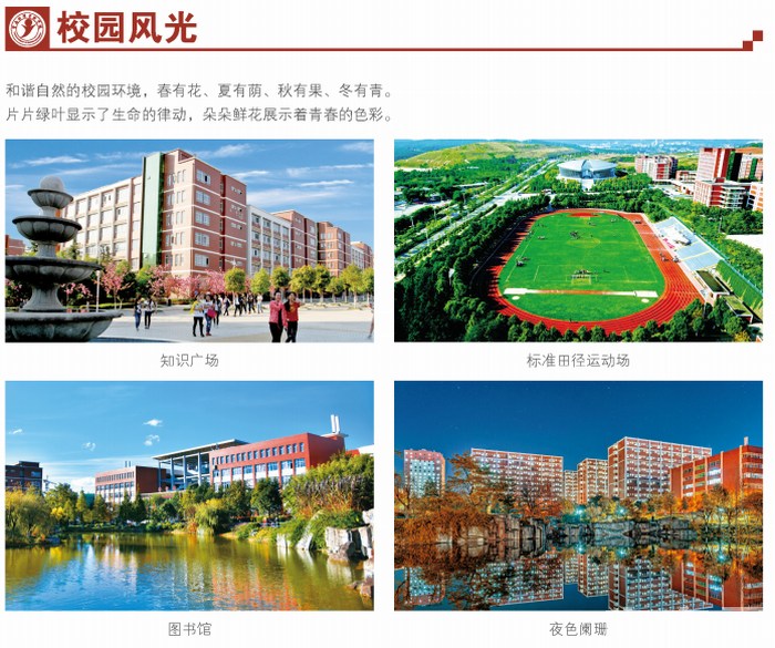 2020年云南经济管理学院单独招生简章