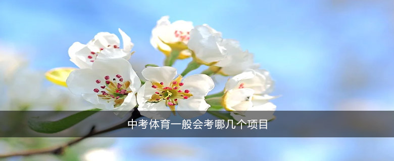 中考体育一般会考哪几个项目