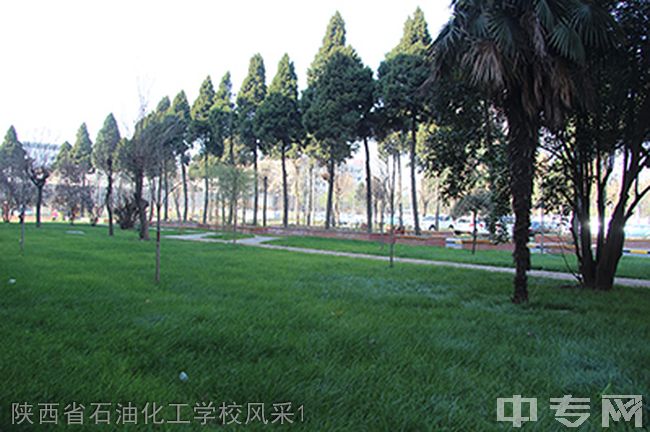 陕西省石油化工学校绿化带
