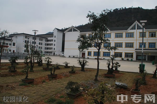 铜仁市特殊教育学校（铜仁聋哑学校）-校园绿化
