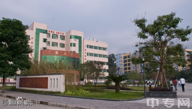重庆市垫江第一中学校图片