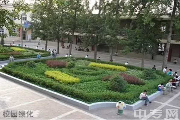 兴平市南郊高级中学[普高]-校园绿化