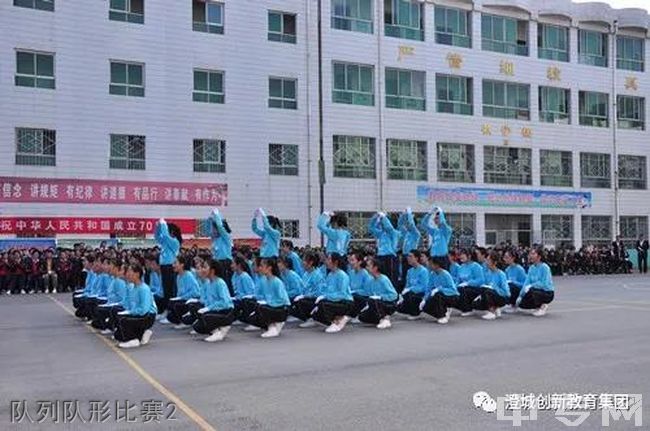 澄城创新中学校花图片