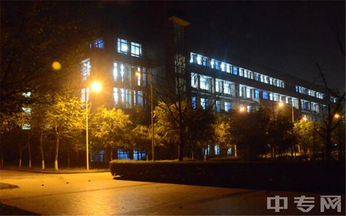 重庆机电职业技术大学排名、专业满意度Top10