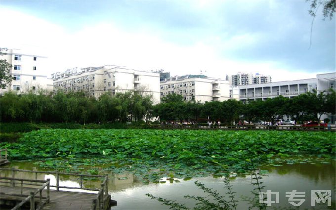 重庆对外经贸学院是公办还是民办学校？