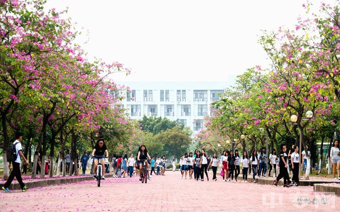 广东科学技术职业学院可以黑龙江读一年后，第二年到珠海请求转专业吗