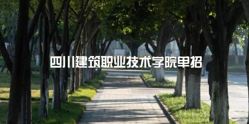 四川德阳建筑职业技术学院2023年春季单招情况，