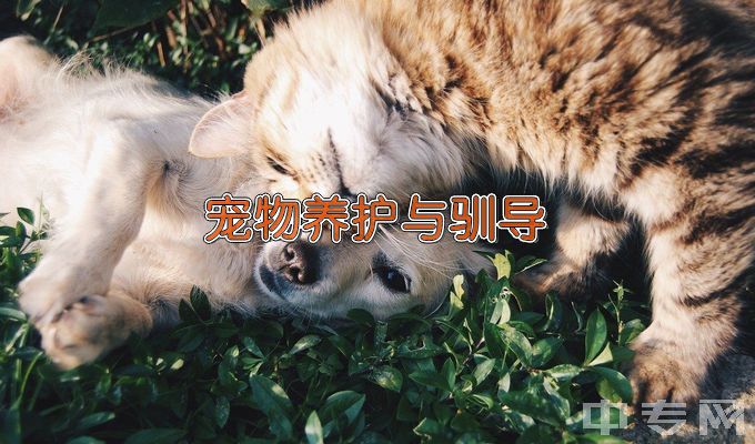 上海农林职业技术学院宠物养护与驯导