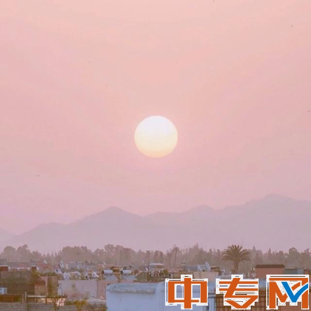 如何获得专升本的资料