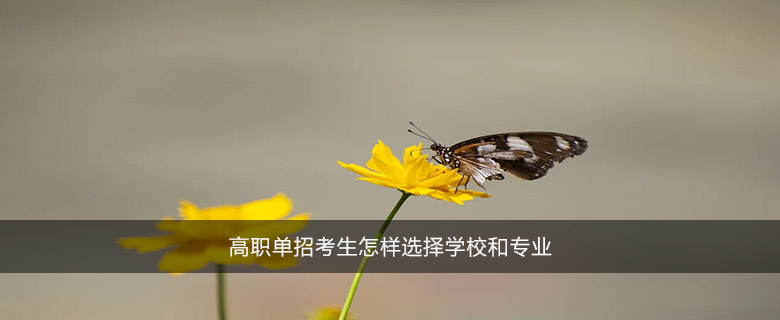 高职单招考生怎样选择学校和专业