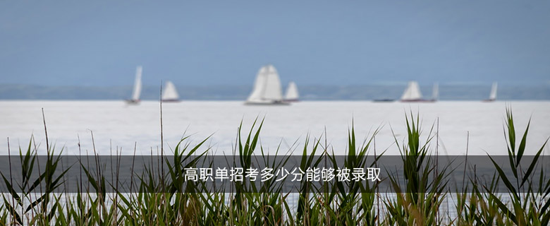 高职单招考多少分能够被录取