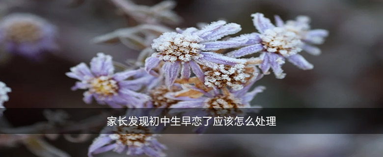 家长发现初中生早恋了应该怎么处理