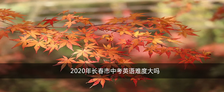2020年长春市中考英语难度大吗