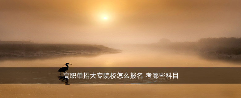 高职单招大专院校怎么报名 考哪些科目