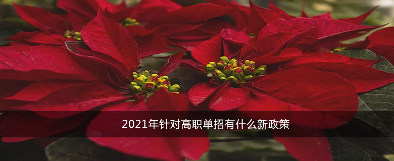 2021年针对高职单招有什么新政策