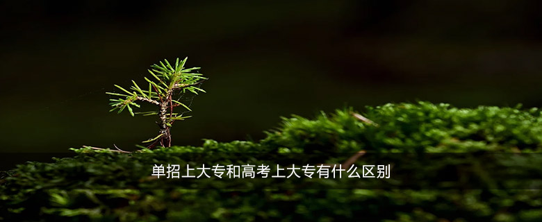 单招上大专和高考上大专有什么区别