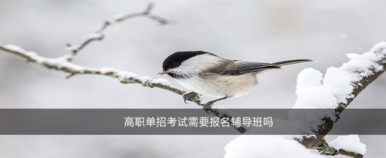 高职单招考试需要报名辅导班吗