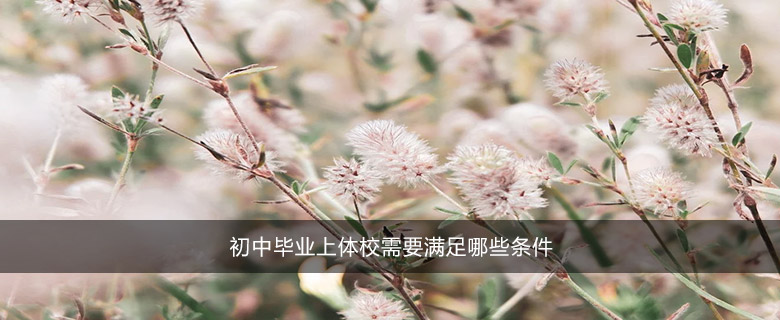 初中毕业上体校需要满足哪些条件