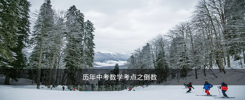 历年中考数学考点之倒数