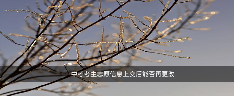 中考考生志愿信息上交后能否再更改