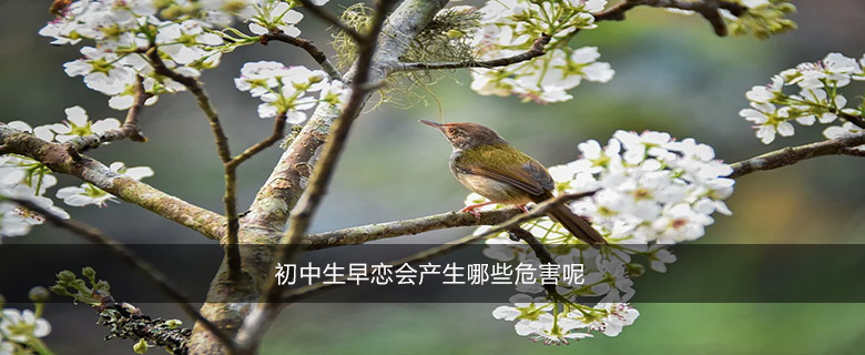 初中生早恋会产生哪些危害呢
