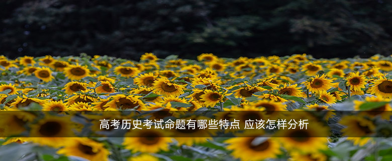 高考历史考试命题有哪些特点 应该怎样分析