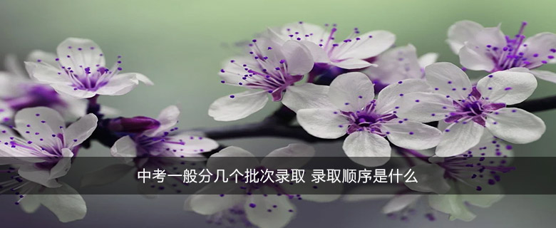 中考一般分几个批次录取 录取顺序是什么