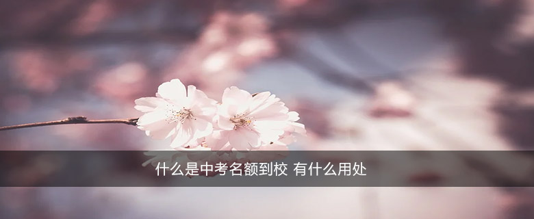 什么是中考名额到校 有什么用处