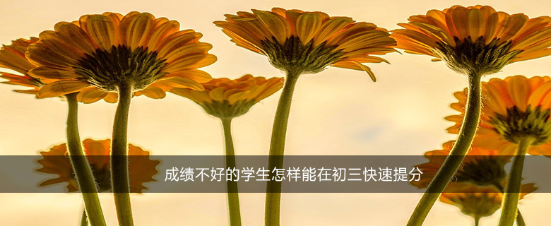 成绩不好的学生怎样能在初三快速提分