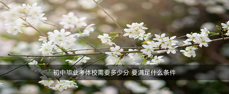 初中毕业考体校需要多少分 要满足什么条件