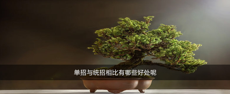 单招与统招相比有哪些好处呢