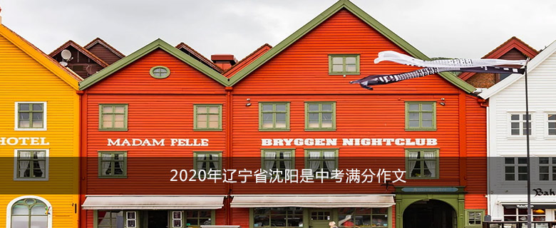 2020年辽宁省沈阳是中考满分作文